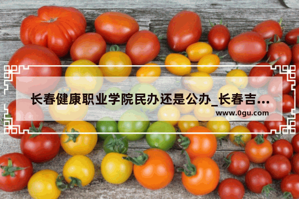 长春健康职业学院民办还是公办_长春吉林大药房能加盟吗