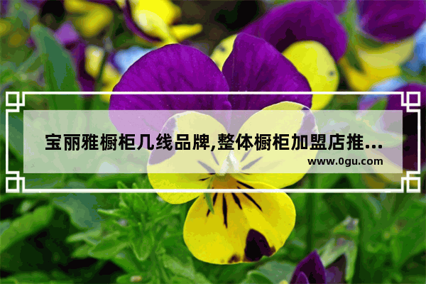 宝丽雅橱柜几线品牌,整体橱柜加盟店推荐品牌