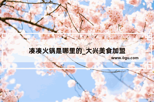 凑凑火锅是哪里的_大兴美食加盟