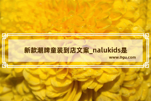 新款潮牌童装到店文案_nalukids是什么品牌