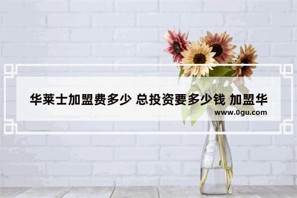 华莱士加盟费多少 总投资要多少钱 加盟华莱士费用多少