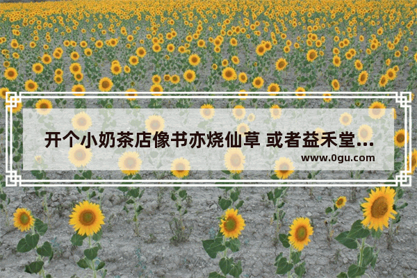 开个小奶茶店像书亦烧仙草 或者益禾堂这种的加盟店需要多少费用？人员5 6个。店面30平 南通烧仙草奶茶加盟
