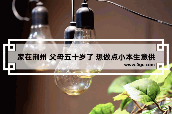 家在荆州 父母五十岁了 想做点小本生意供我上学 做什么好_荆州严记锅盔培训靠谱吗