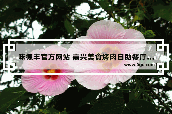 味德丰官方网站 嘉兴美食烤肉自助餐厅加盟