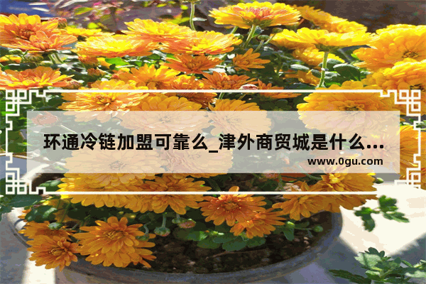 环通冷链加盟可靠么_津外商贸城是什么意思