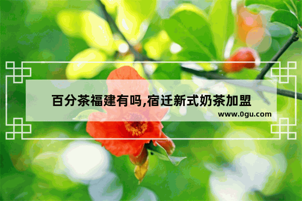 百分茶福建有吗,宿迁新式奶茶加盟