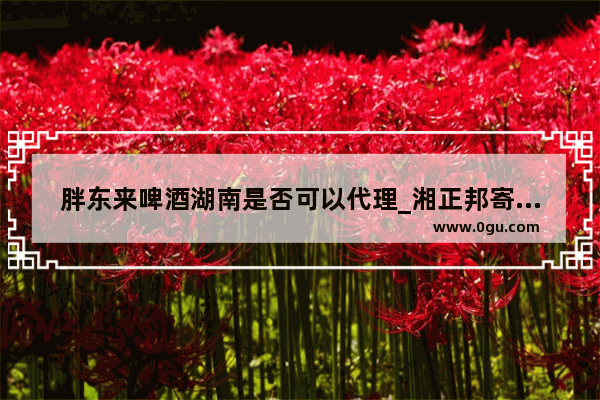 胖东来啤酒湖南是否可以代理_湘正邦寄卖连锁合法吗