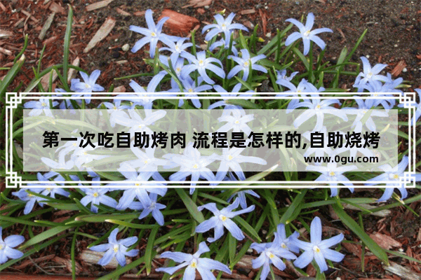 第一次吃自助烤肉 流程是怎样的,自助烧烤加盟店推荐