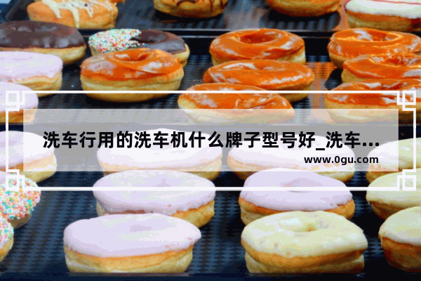 洗车行用的洗车机什么牌子型号好_洗车的牌子什么好
