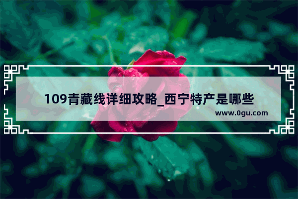 109青藏线详细攻略_西宁特产是哪些