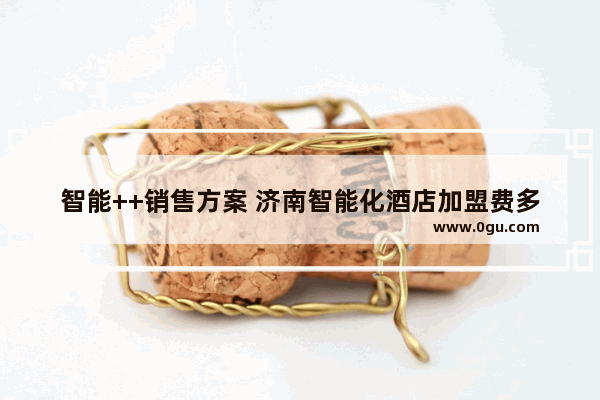 智能++销售方案 济南智能化酒店加盟费多少