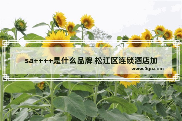 sa++++是什么品牌 松江区连锁酒店加盟费多少