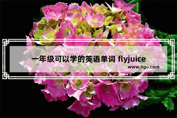 一年级可以学的英语单词 flyjuice加盟费