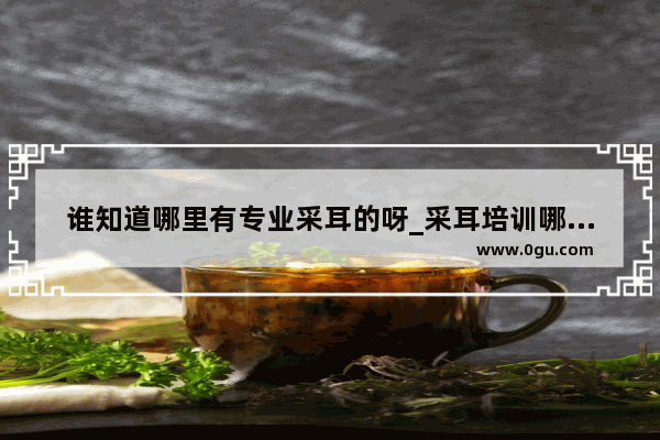 谁知道哪里有专业采耳的呀_采耳培训哪里好