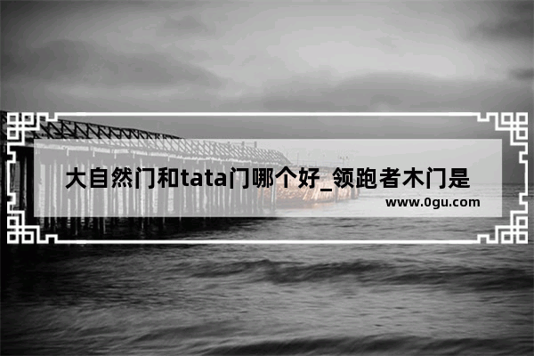 大自然门和tata门哪个好_领跑者木门是几线品牌