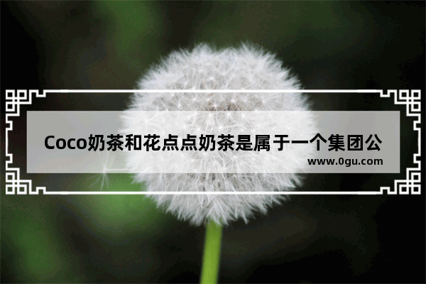 Coco奶茶和花点点奶茶是属于一个集团公司吗_1点点是谁的品牌