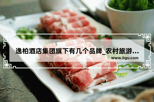 逸柏酒店集团旗下有几个品牌_农村旅游酒店加盟品牌
