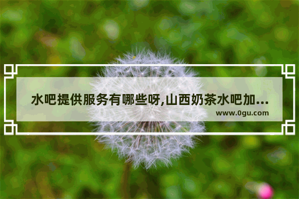水吧提供服务有哪些呀,山西奶茶水吧加盟店排行榜
