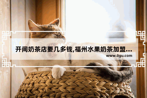 开间奶茶店要几多钱,福州水果奶茶加盟费多少