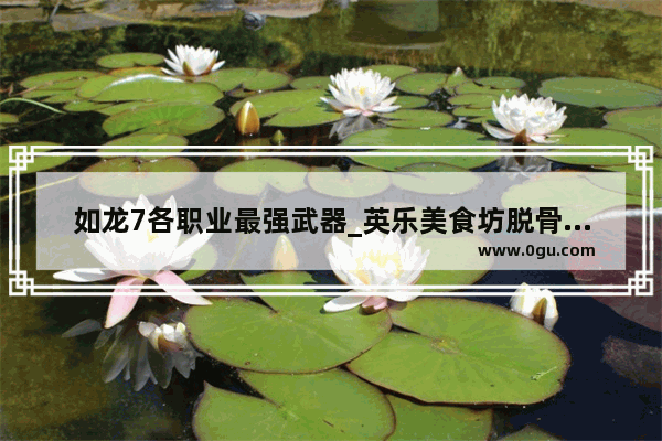 如龙7各职业最强武器_英乐美食坊脱骨鸡爪加盟