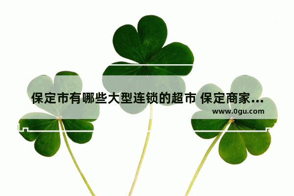 保定市有哪些大型连锁的超市 保定商家推荐加盟店