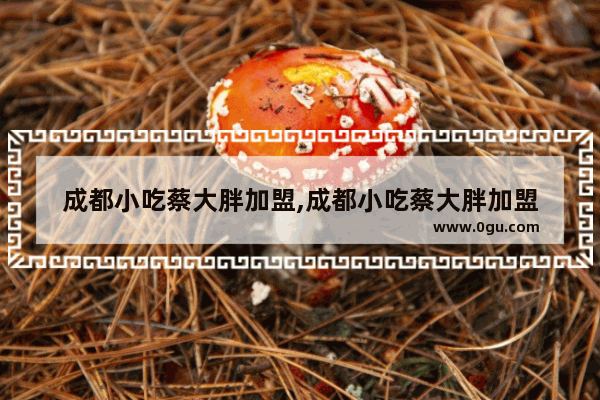 成都小吃蔡大胖加盟,成都小吃蔡大胖加盟