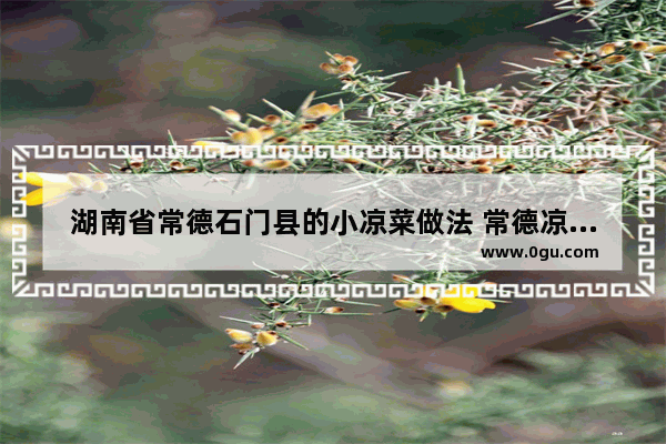 湖南省常德石门县的小凉菜做法 常德凉菜加盟品牌