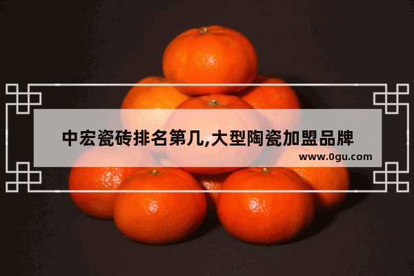 中宏瓷砖排名第几,大型陶瓷加盟品牌