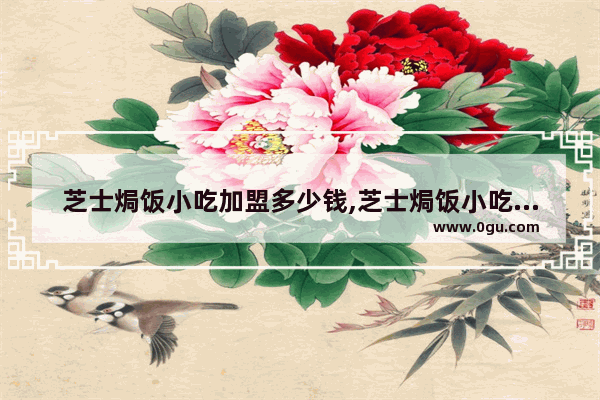 芝士焗饭小吃加盟多少钱,芝士焗饭小吃加盟多少钱