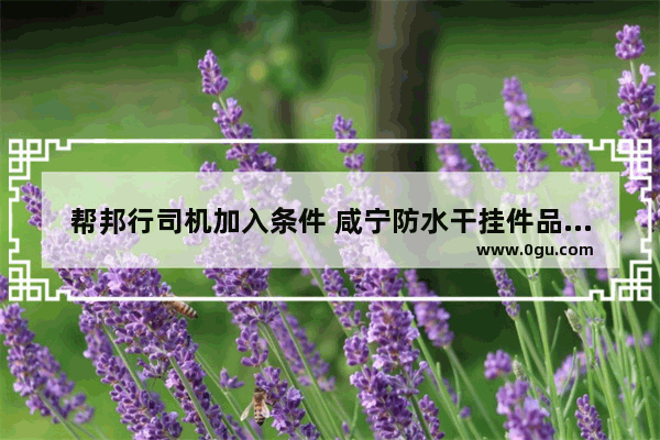 帮邦行司机加入条件 咸宁防水干挂件品牌加盟