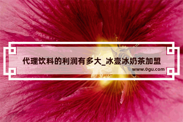 代理饮料的利润有多大_冰壹冰奶茶加盟