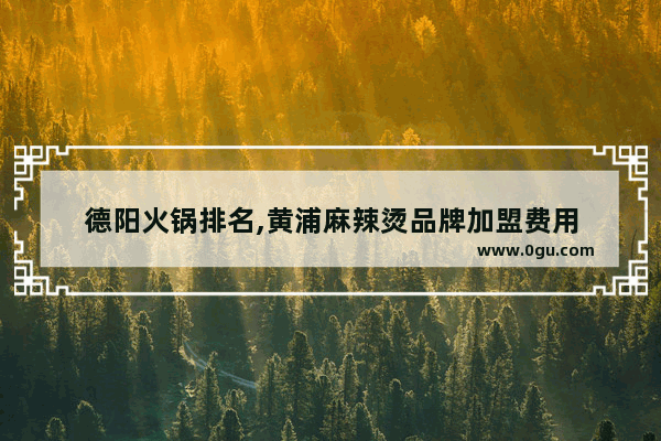 德阳火锅排名,黄浦麻辣烫品牌加盟费用