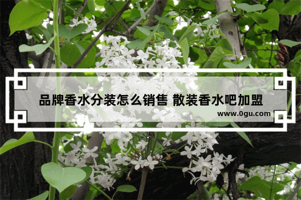 品牌香水分装怎么销售 散装香水吧加盟