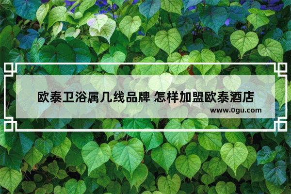欧泰卫浴属几线品牌 怎样加盟欧泰酒店