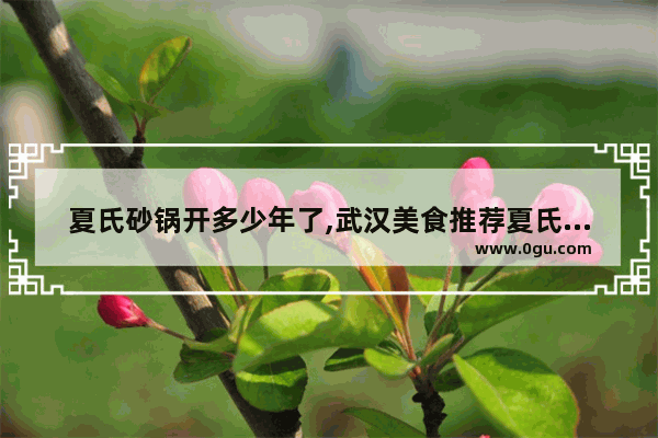 夏氏砂锅开多少年了,武汉美食推荐夏氏砂锅加盟