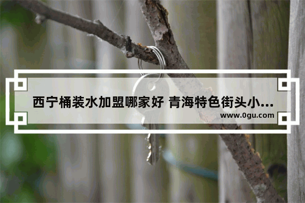 西宁桶装水加盟哪家好 青海特色街头小吃加盟