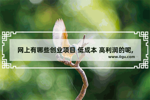 网上有哪些创业项目 低成本 高利润的呢,小菜园小吃加盟费多少