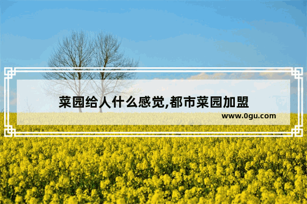 菜园给人什么感觉,都市菜园加盟