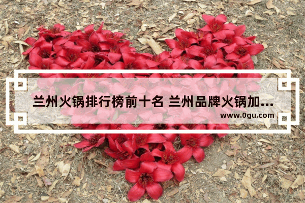 兰州火锅排行榜前十名 兰州品牌火锅加盟排名