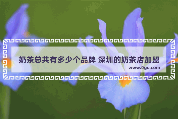 奶茶总共有多少个品牌 深圳的奶茶店加盟