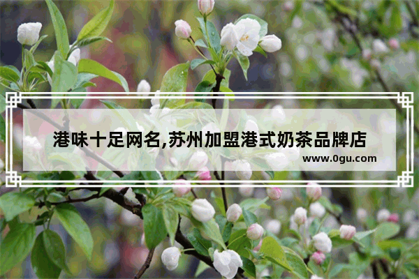 港味十足网名,苏州加盟港式奶茶品牌店