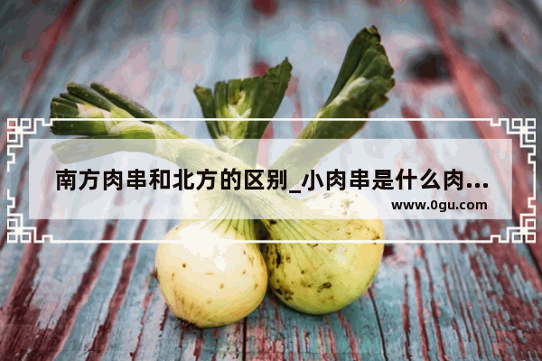 南方肉串和北方的区别_小肉串是什么肉做的