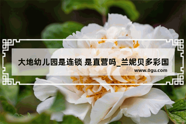 大地幼儿园是连锁 是直营吗_兰妮贝多彩国际幼稚园怎么样