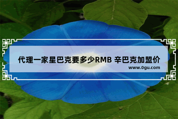 代理一家星巴克要多少RMB 辛巴克加盟价