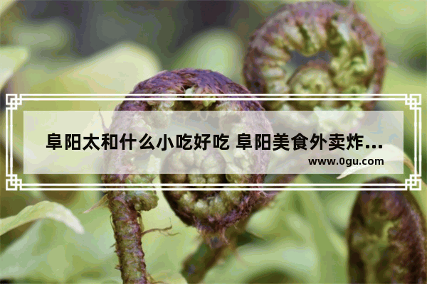 阜阳太和什么小吃好吃 阜阳美食外卖炸鸡加盟