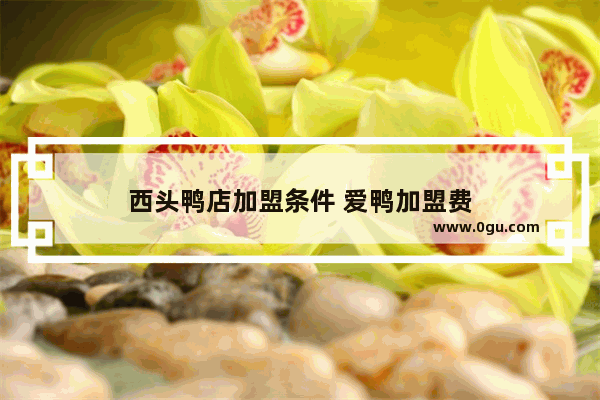 西头鸭店加盟条件 爱鸭加盟费