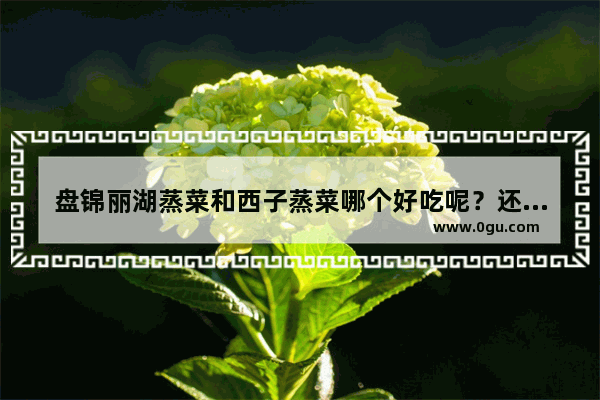 盘锦丽湖蒸菜和西子蒸菜哪个好吃呢？还有价钱？谢谢,盘锦地方小吃加盟排行榜