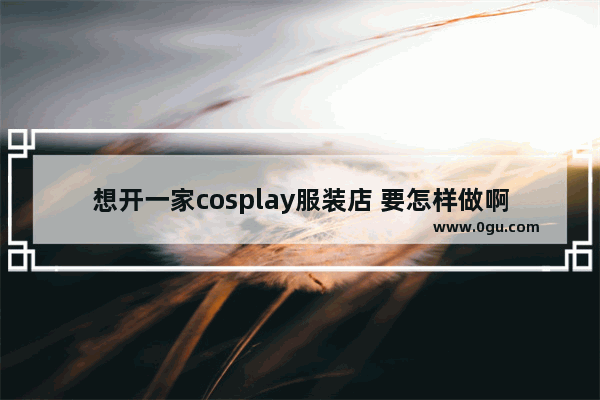 想开一家cosplay服装店 要怎样做啊,服装模型加盟品牌