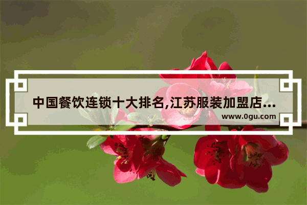 中国餐饮连锁十大排名,江苏服装加盟店品牌推荐