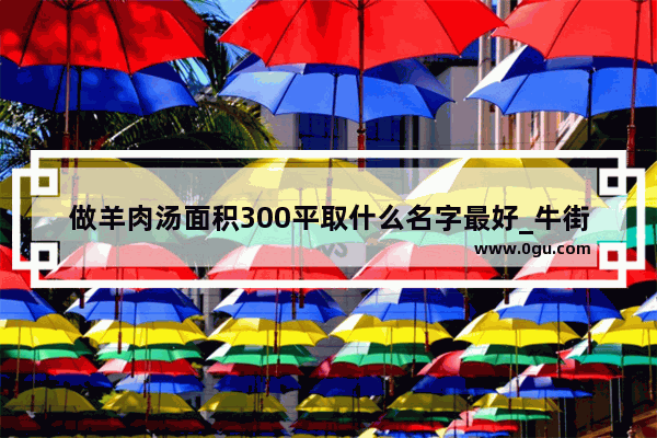 做羊肉汤面积300平取什么名字最好_牛街羊汤哪家好